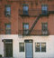 Free Building Facade Texture 71